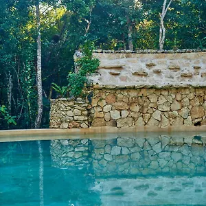 https://villa-agua-y-fuego.quintano-roohotels.com
